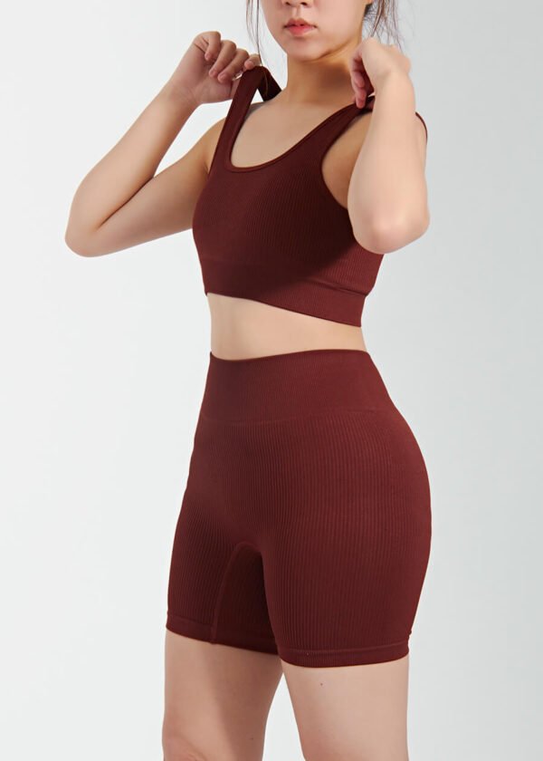 Sports Workout Seamless Bra and Legging Suit Women Quick Dry Yoga 2 Pieces Set - Image 3
