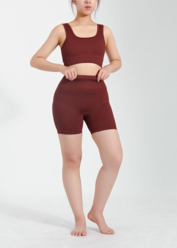 Sports Workout Seamless Bra and Legging Suit Women Quick Dry Yoga 2 Pieces Set - Image 2